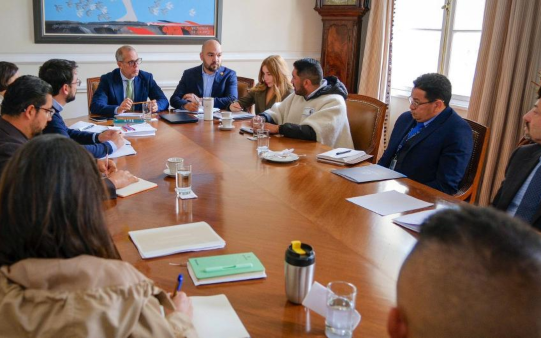 Gobierno reconoce crisis arrocera y anuncia plan de emergencia para la cosecha