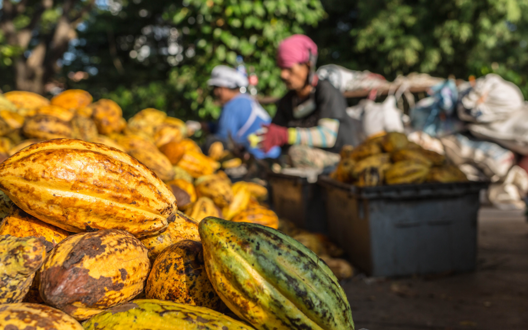 Evento virtual :  Ecofisiología de los cultivos en condiciones tropicales