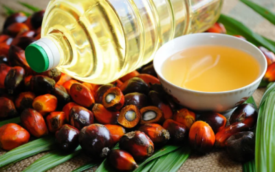 Exportaciones agropecuarias alcanzan récord histórico en junio: US$1.225 millones