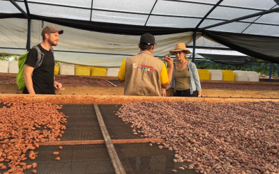 Cacaoteros del Meta estrechan lazos con chocolatería belga Legast y avanzan hacia mercados internacionales