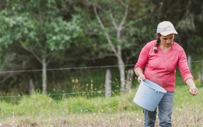 Minagricultura amplía beneficios de crédito para productores afectados por el clima y caídas en ingresos
