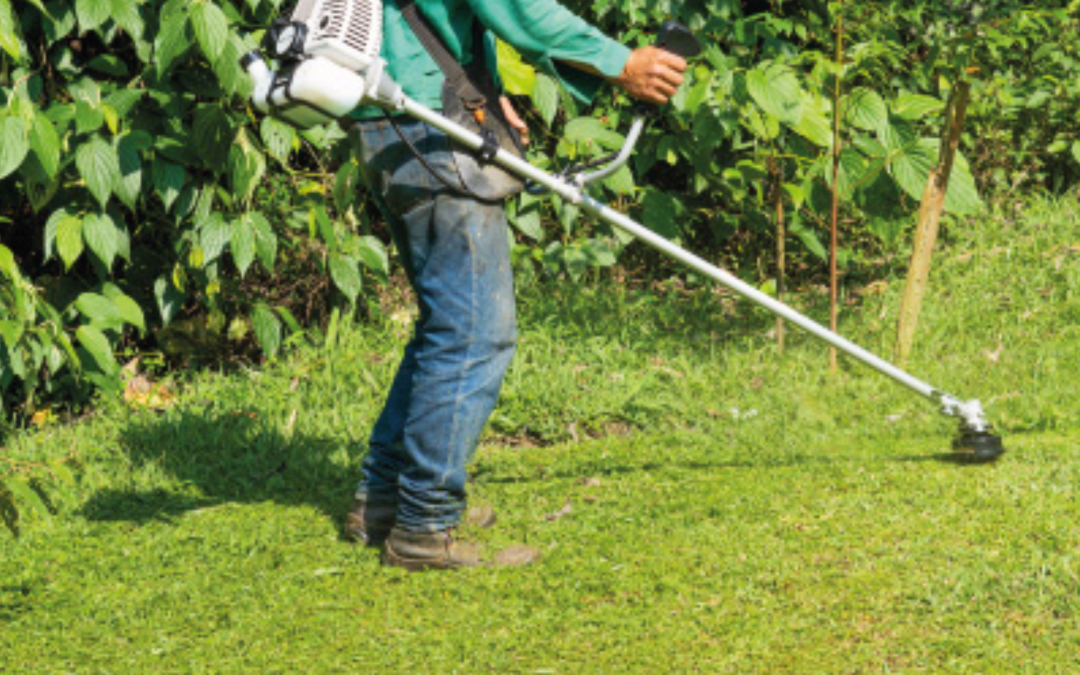 Cortar con guadaña para controlar la maleza podría estar dañando su ganadería. ¿Por qué?