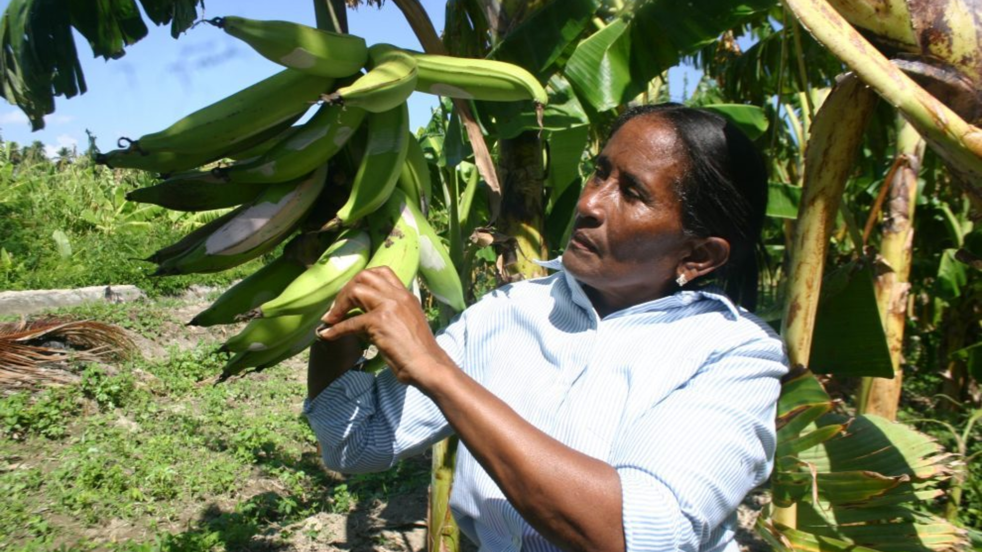 Imágenes página web (1)