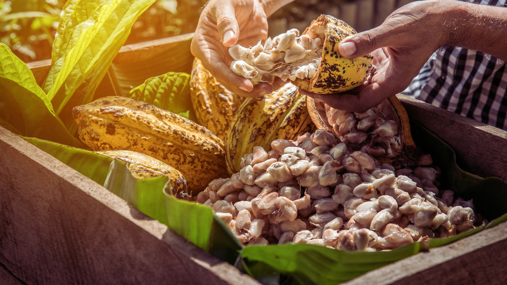 Imágenes página web (14)