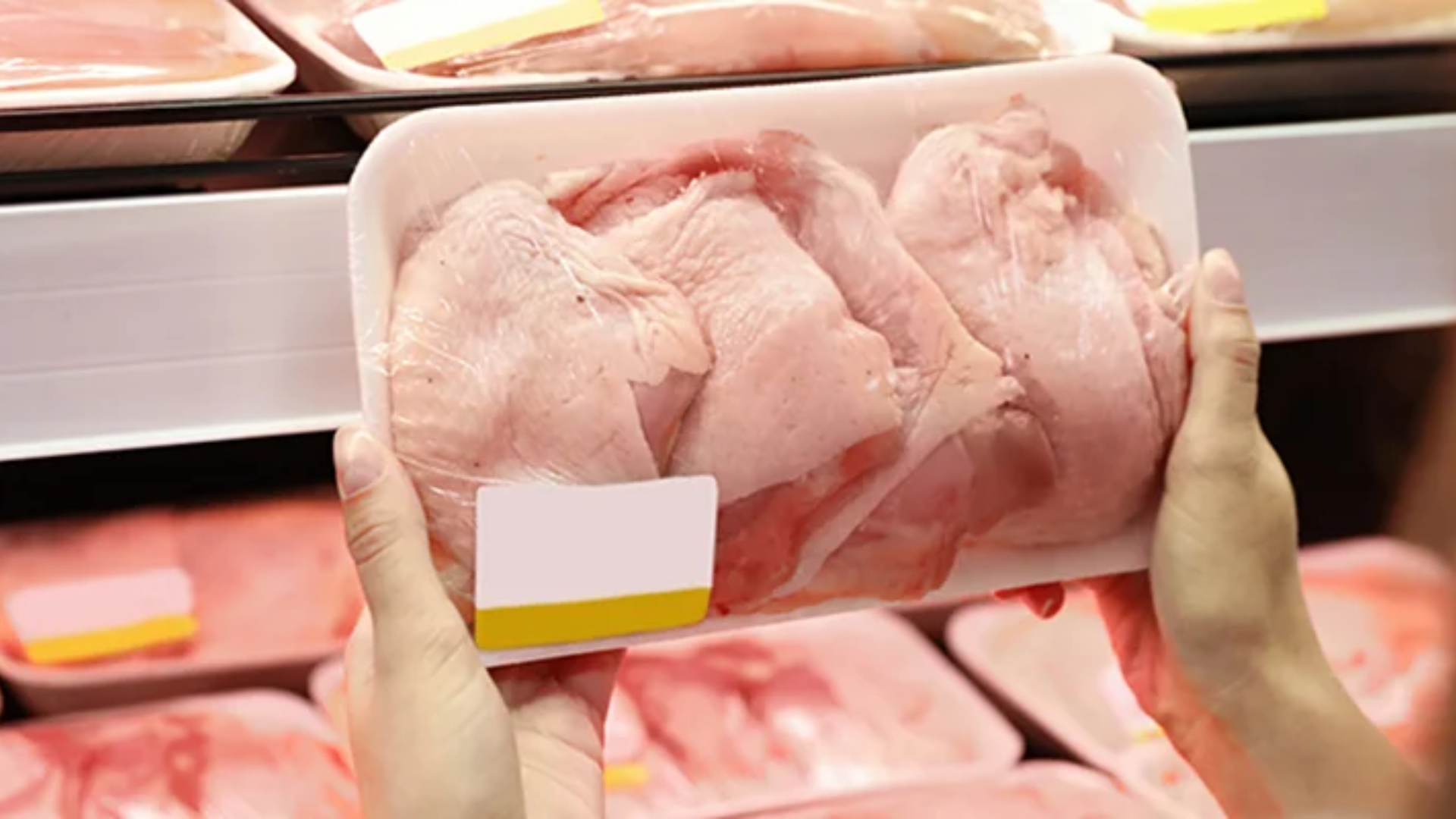 Imágenes página web (19)