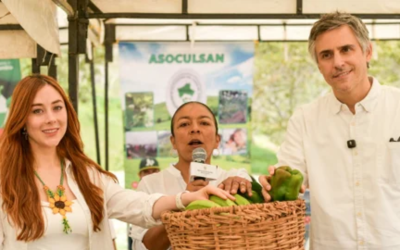 Grupo Éxito duplica sus compras a productores de Asoculsan en impulso a la sustitución de cultivos ilícitos