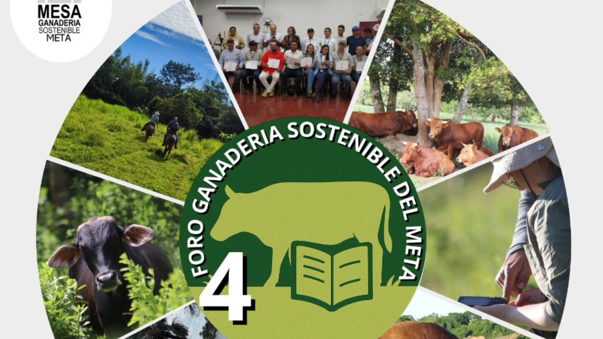 Imágenes página web (22)