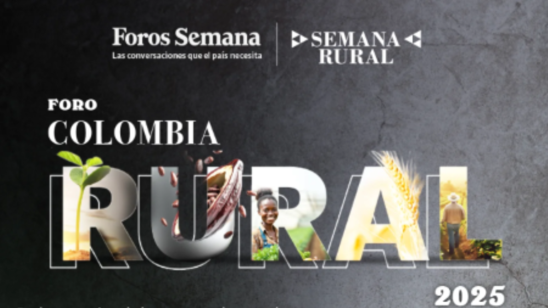 Imágenes página web (3)