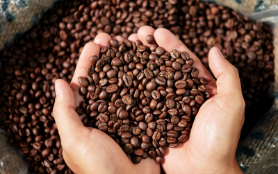 Caficultura colombiana marca cifras históricas en exportaciones y valor de la cosecha