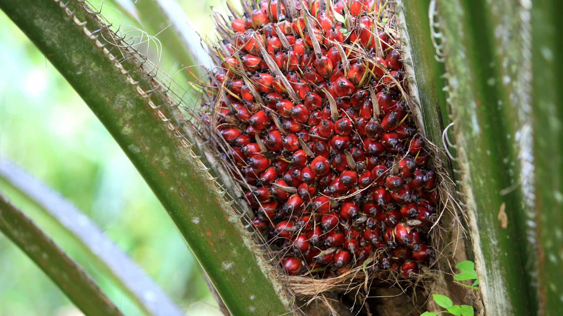 Imágenes página web (4)