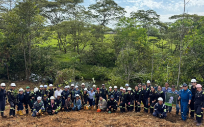 Comunidades rurales y Ecopetrol impulsan reforestación en la Orinoquía
