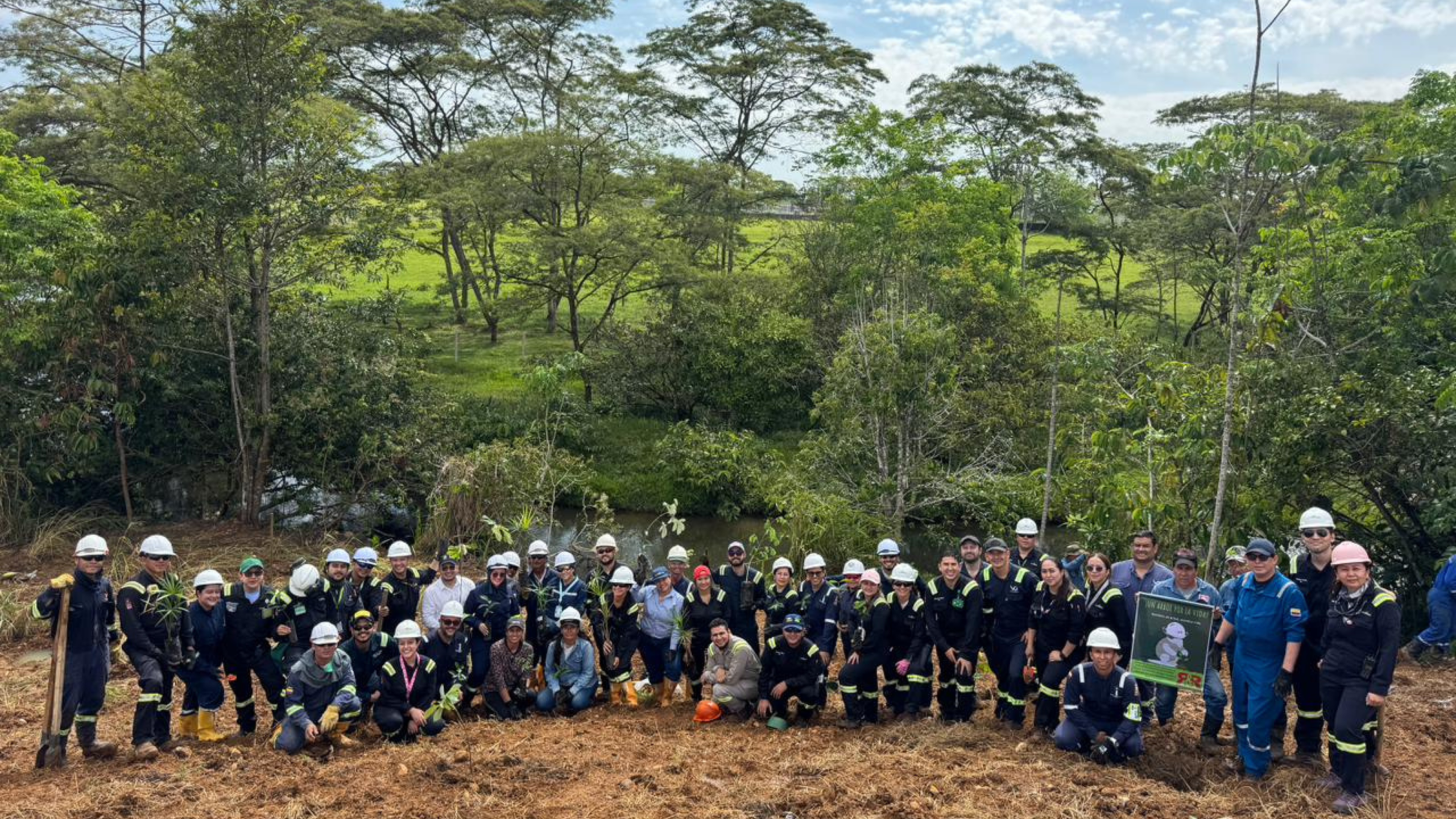 Imágenes página web (8)