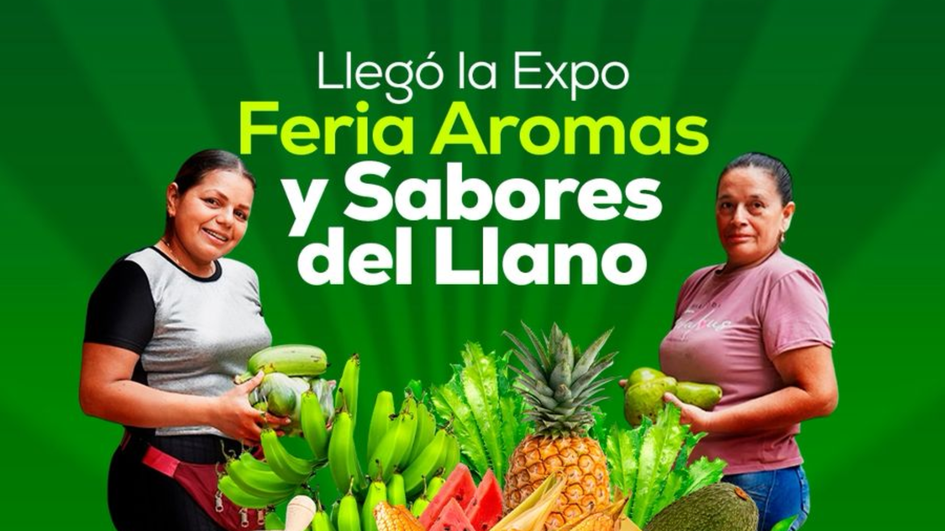 Imágenes página web (9)