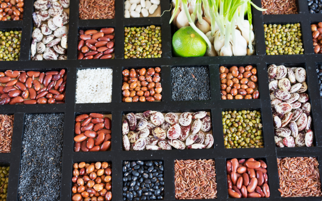 Bogotá inaugura banco comunitario de semillas agroecológicas en Usaquén