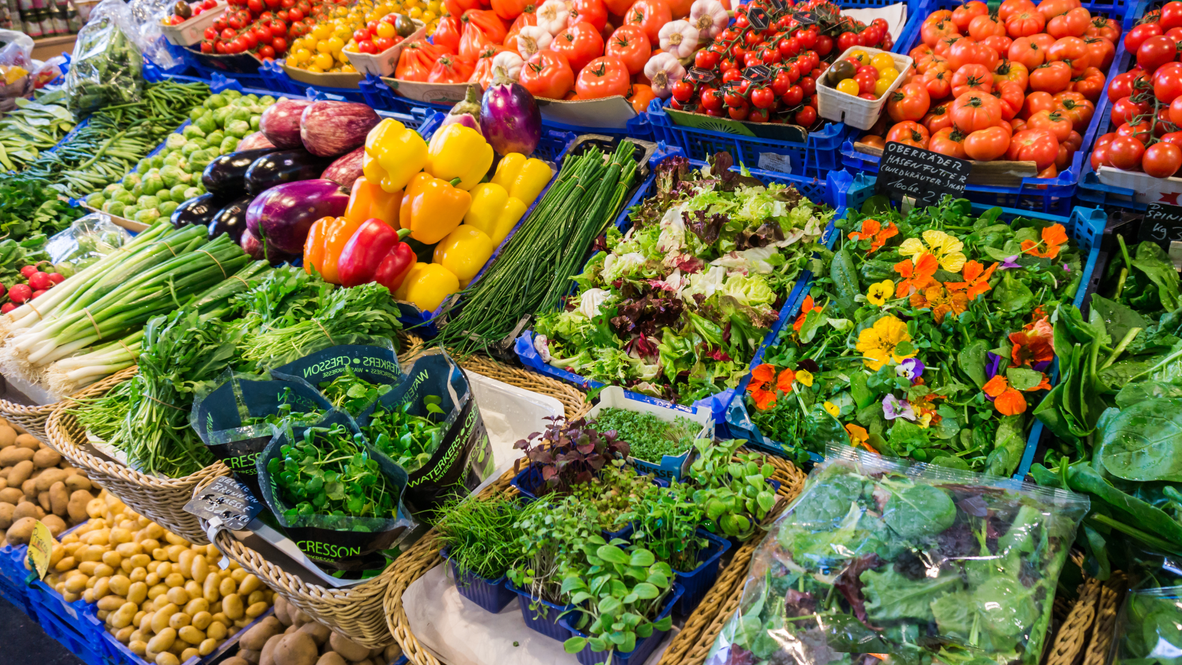 Imágenes página web (12)