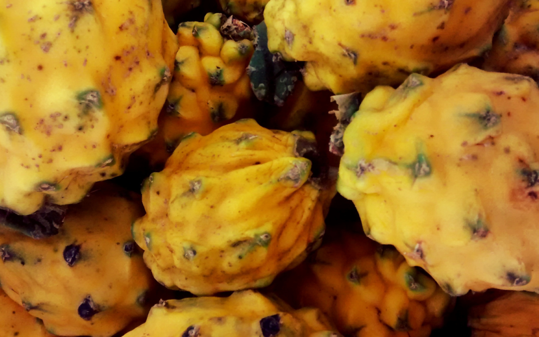 Cáscara de pitahaya amarilla, nuevo ingrediente para suplementos naturales