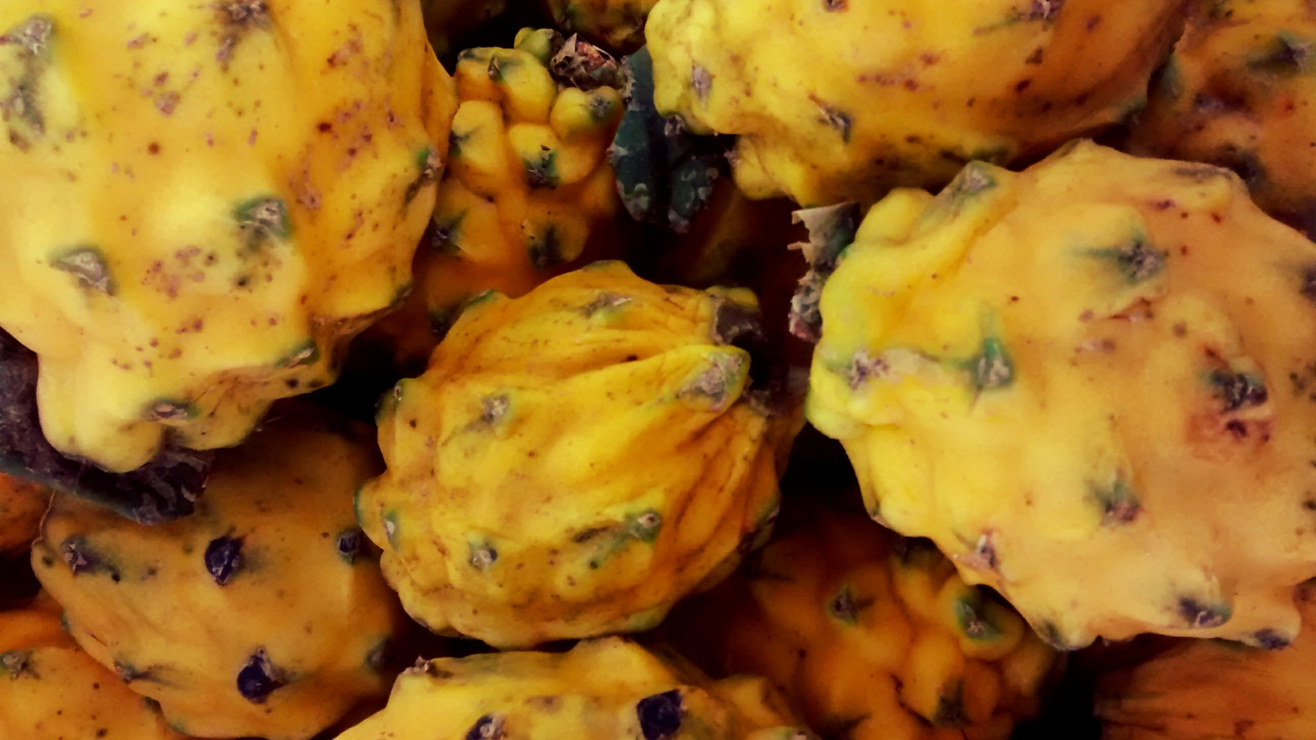 Imágenes página web (13)