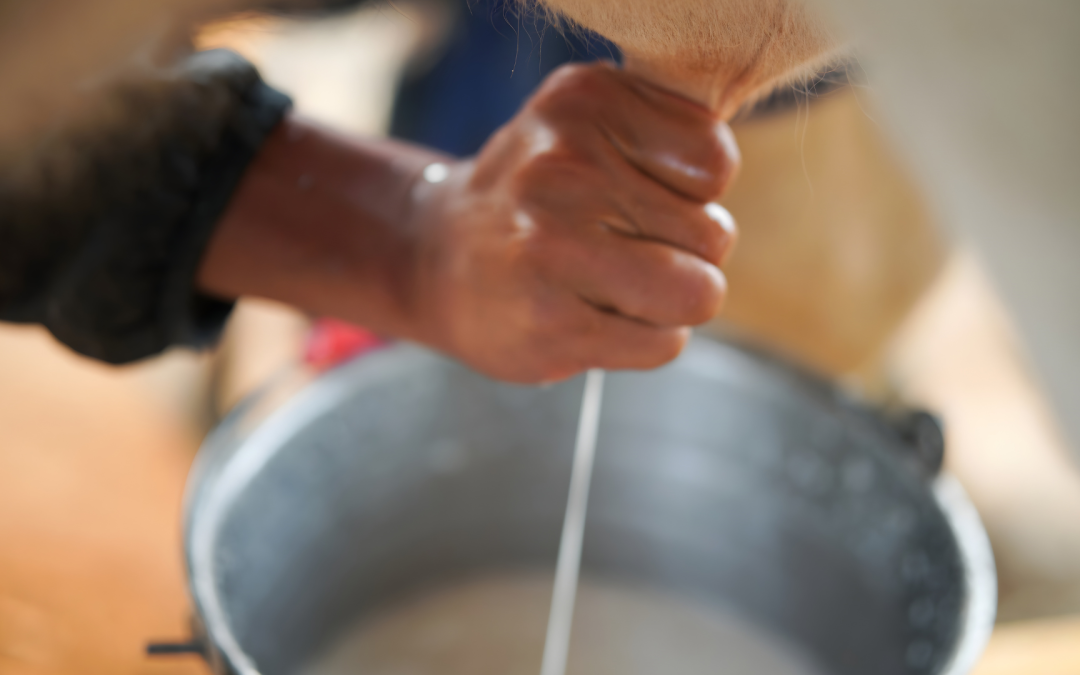 Productores de leche en Vista Hermosa alertan crisis por precios estancados