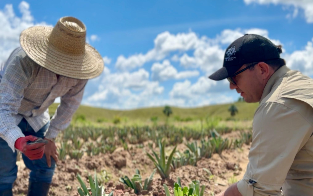 Meta apalanca 70 créditos rurales por más de $800 millones