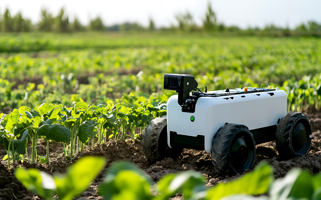 Ocde advierte bajo impulso a la innovación agrícola en Colombia
