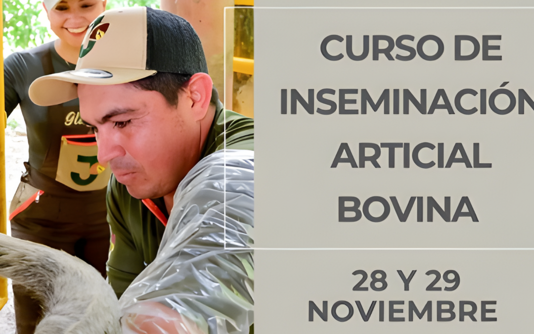 Curso de Inseminación Artificial Bovina en Yopal: aprende con prácticas reales y certificado incluido