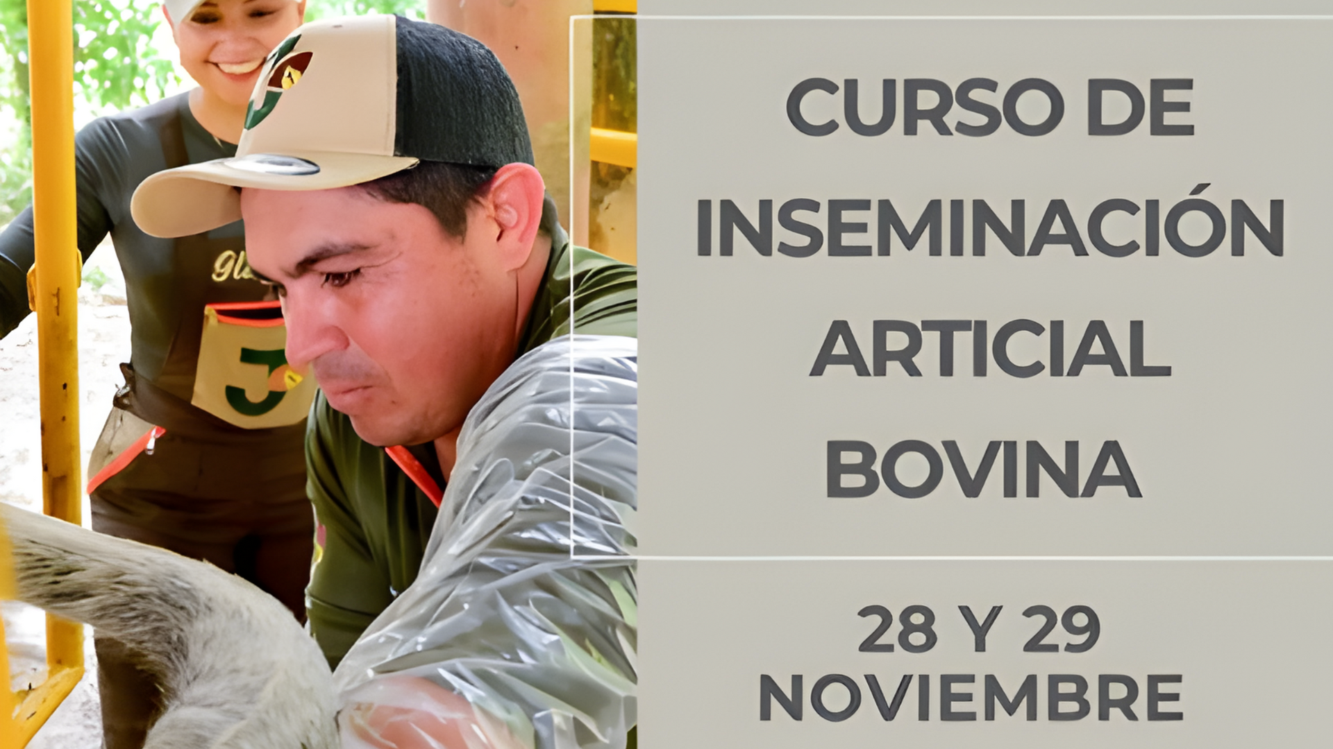 Imágenes página web (7) Sandía