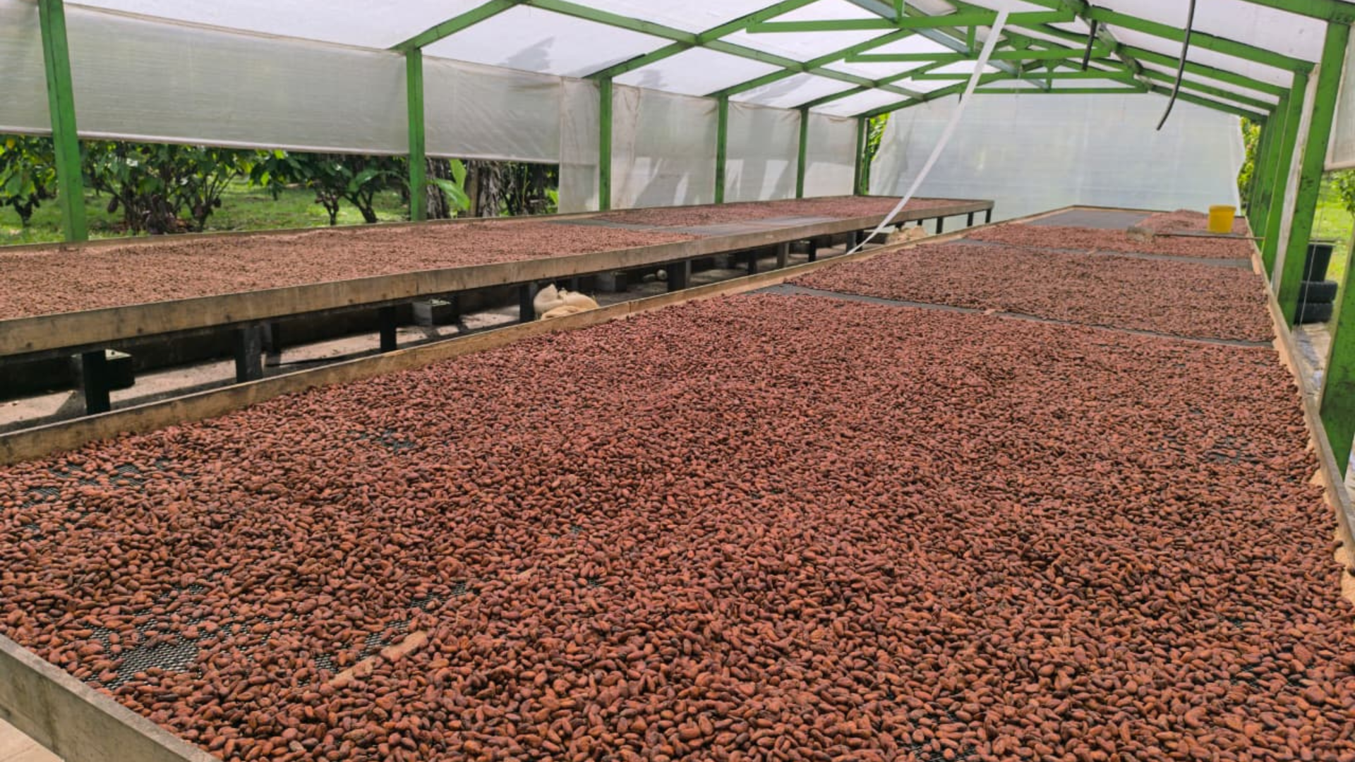 Imágenes página web (8)