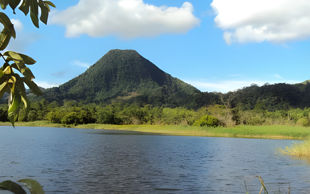 ICA confirma causa multifactorial en mortalidad de tilapias en Caldas