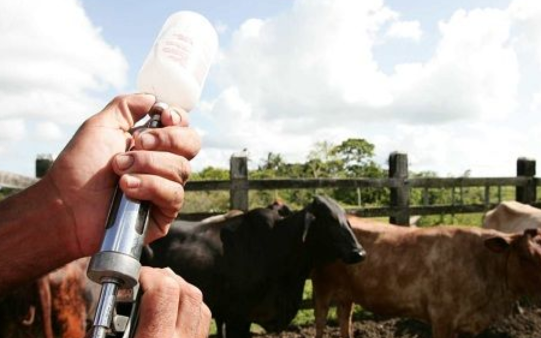 ICA amplía cierre del ciclo de vacunación en municipios con orden público