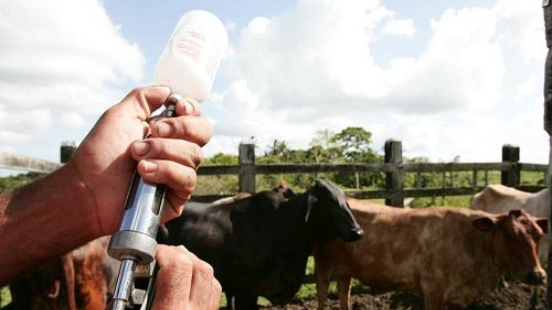 Imágenes página web (2)