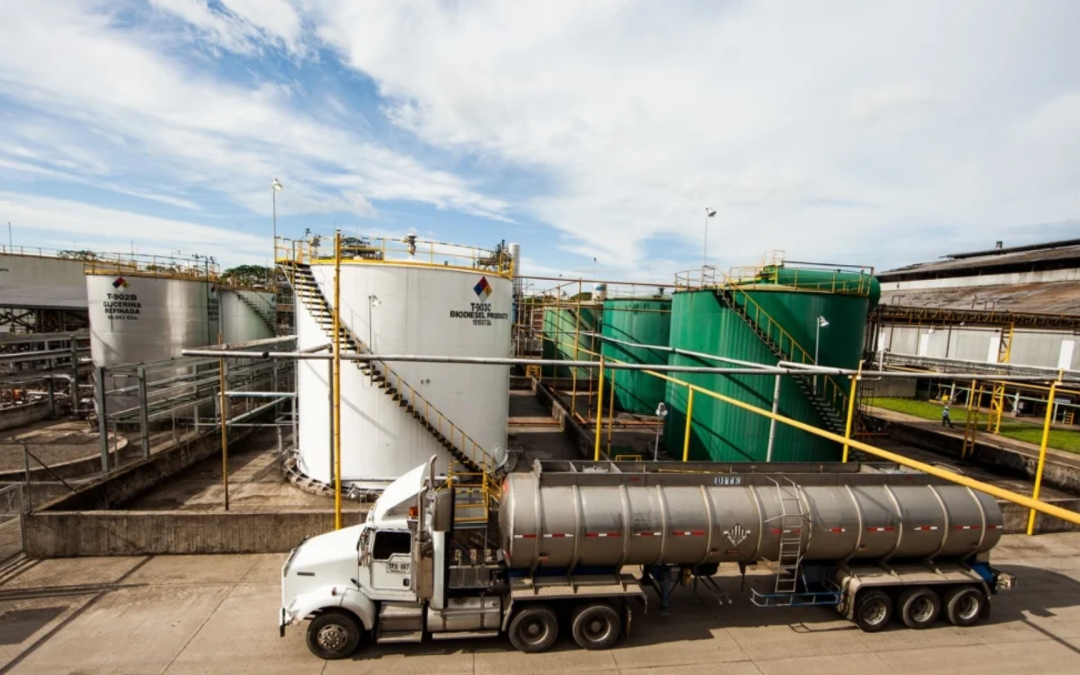 Manuelita logra certificación Iscc Corsia para abastecer combustible SAF