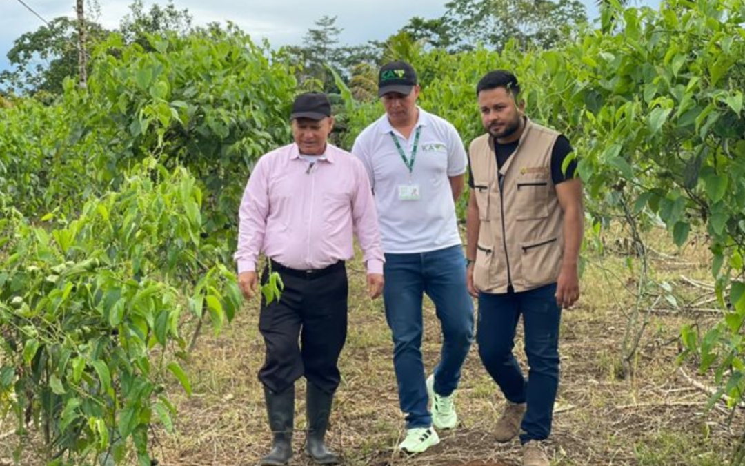 ICA expone procesos clave para fortalecer exportaciones del agro