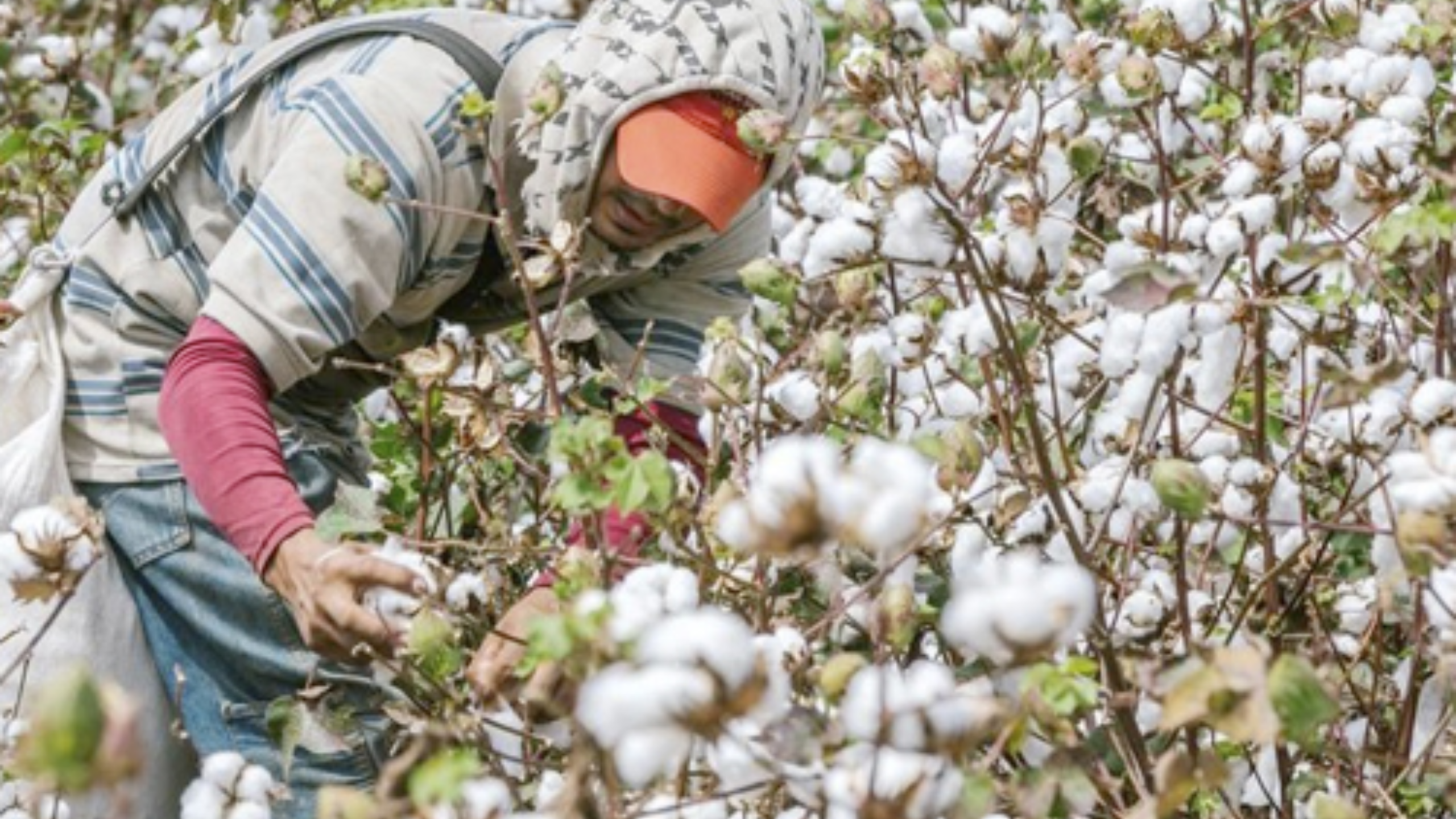 Imágenes página web (33)