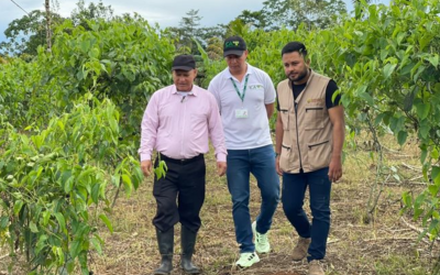 ICA expone procesos clave para fortalecer exportaciones del agro