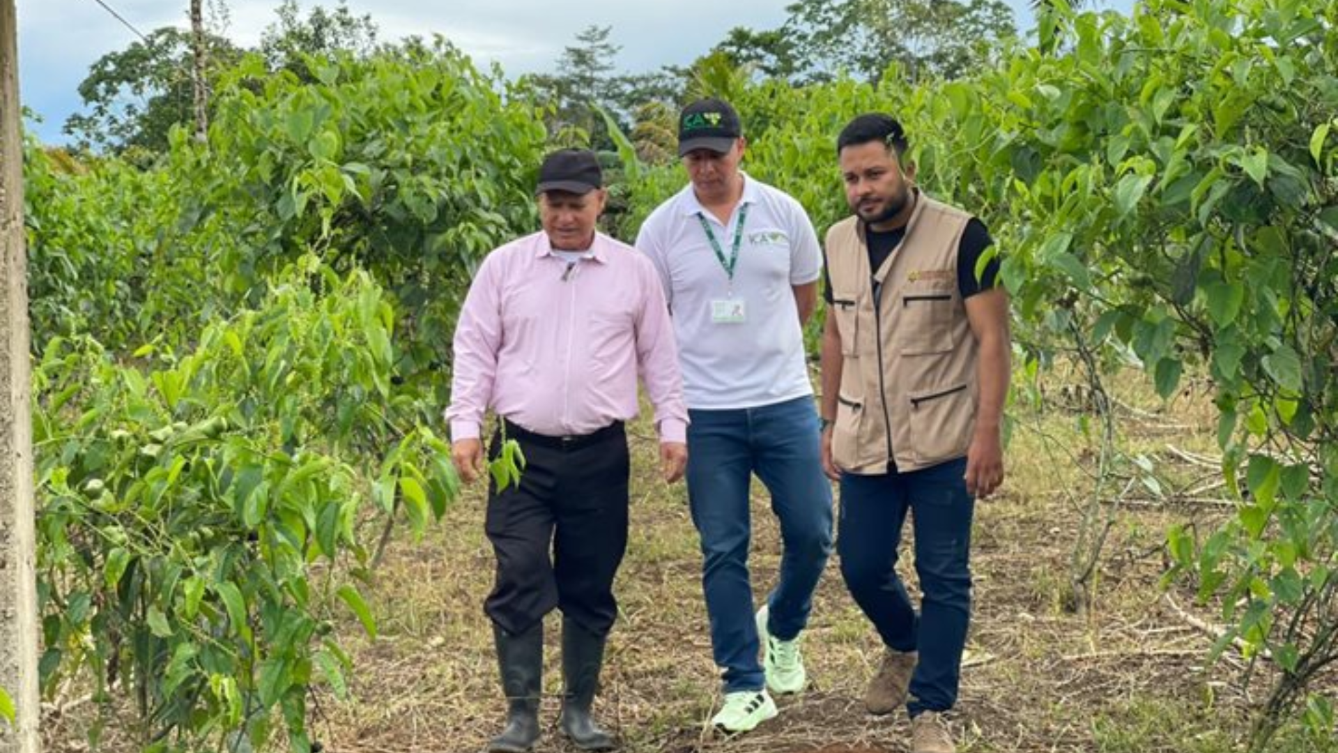 Imágenes página web (33)