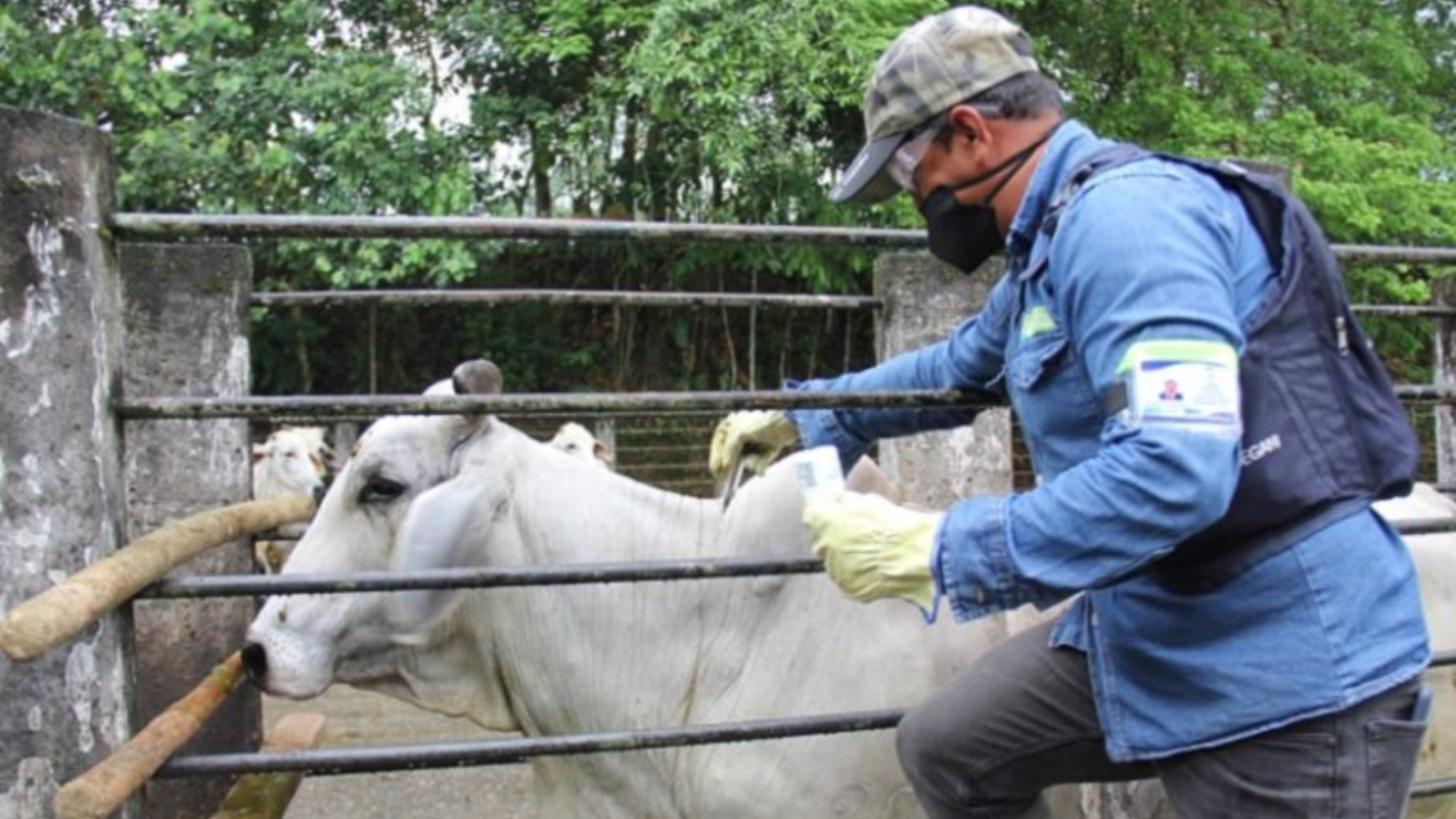 Imágenes página web (34)