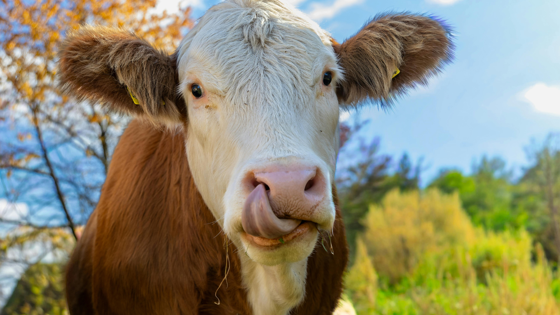 Imágenes página web (35)