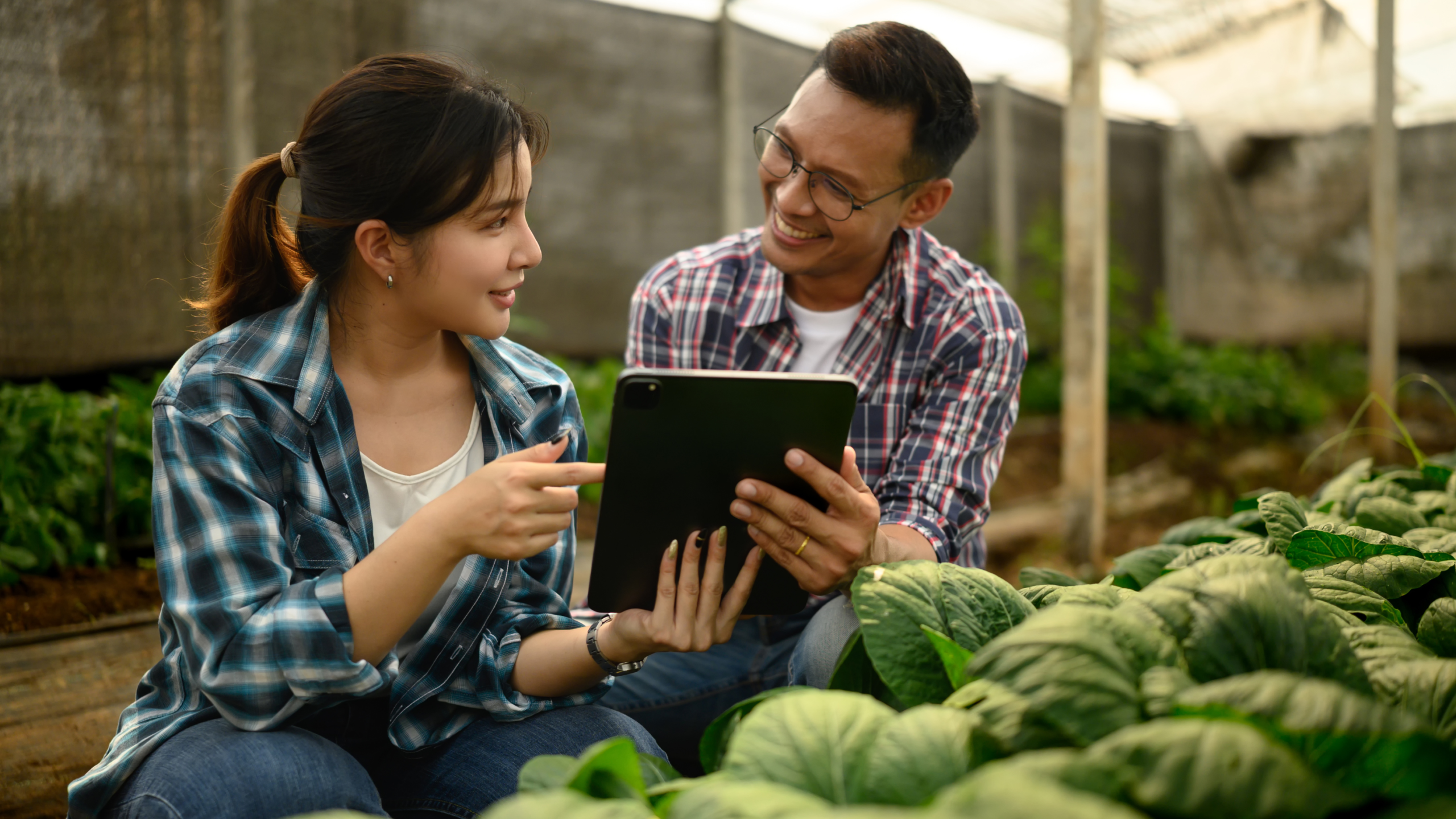 Imágenes página web (39)