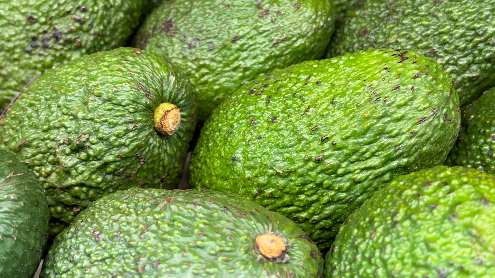 Imágenes página web (3)