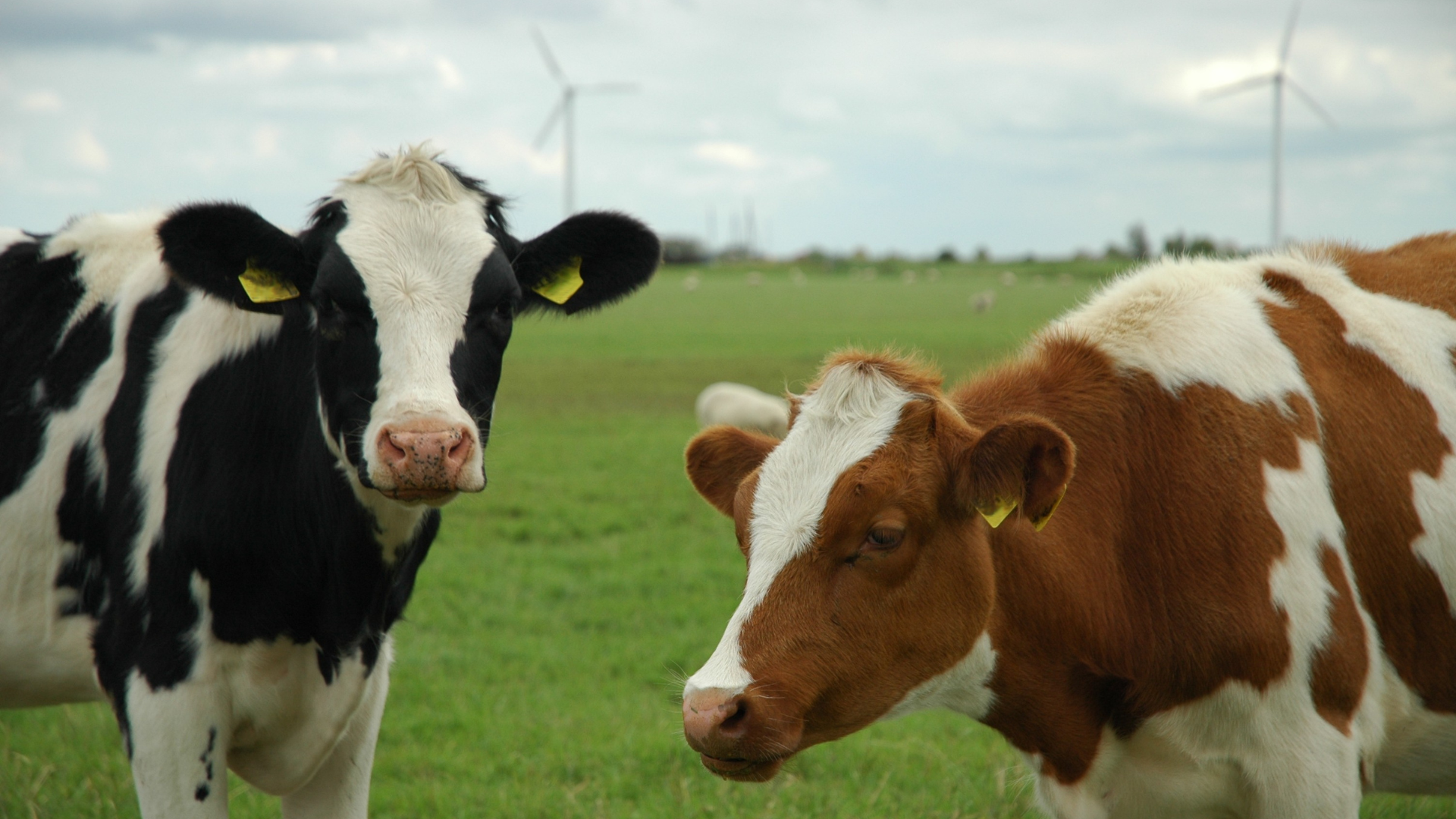 Imágenes página web (4)