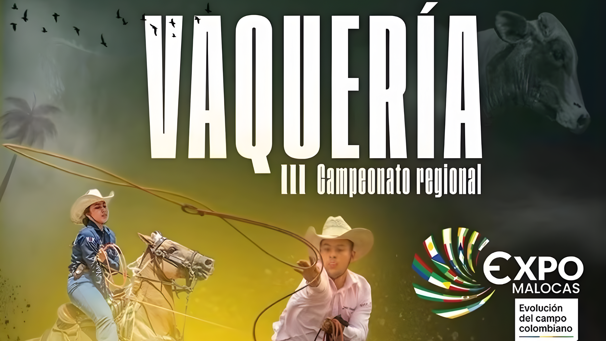 Imágenes página web (8) Conservación y Precisión en Cultivos AGROSAVIA