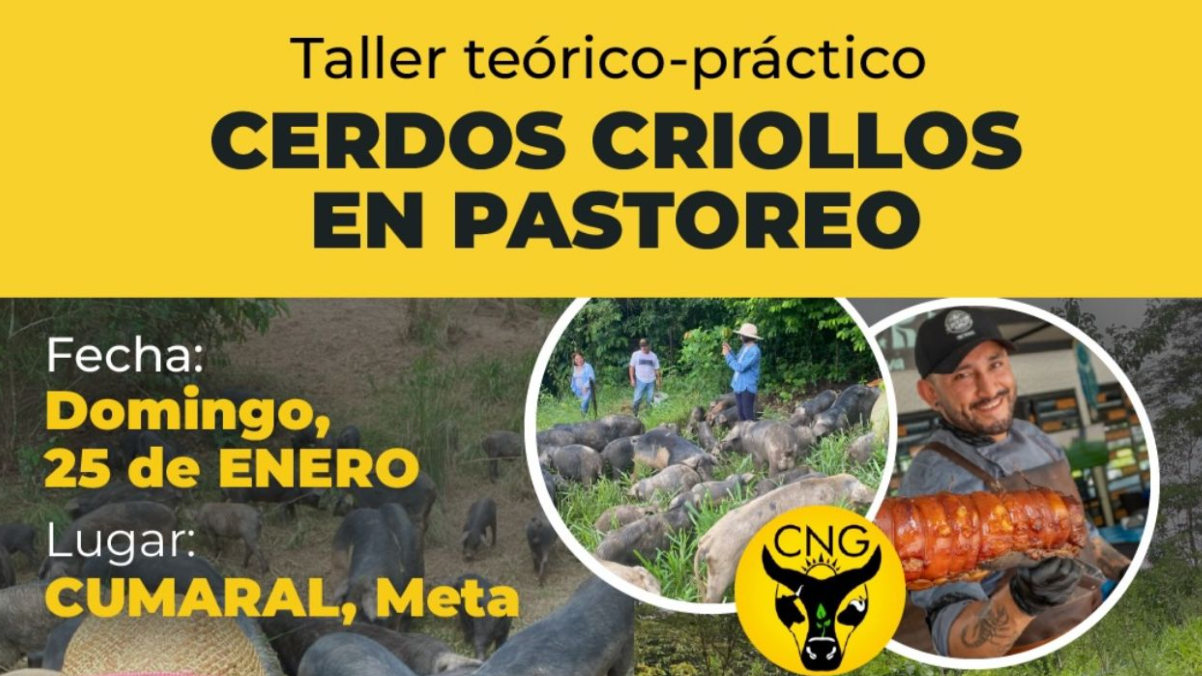 Imágenes página web (9) Sandía