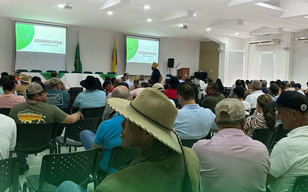 Fedearroz analiza crisis del sector arrocero y plantea soluciones estructurales en encuentro nacional