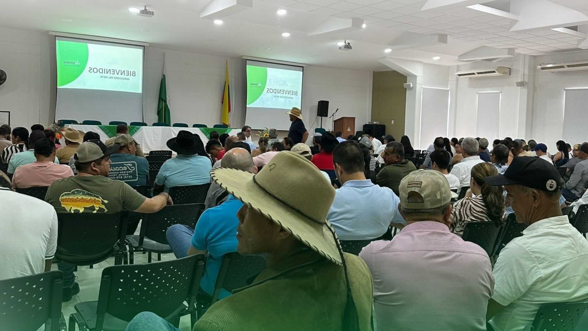 El texto del párrafo