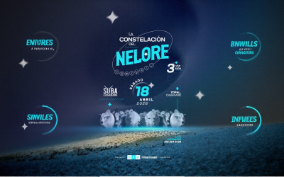 Yopal recibirá la tercera versión de La Constelación del Nelore 2026
