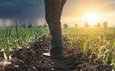 Esto deben tener en cuenta los productores ante los cambios en el clima