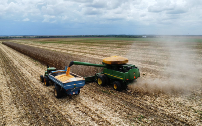 Cae la producción de cereales y leguminosas en Colombia y crece la preocupación en el agro