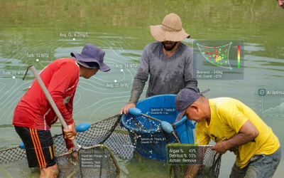 Unillanos busca impulsar la piscicultura con inteligencia artificial y herramientas de innovación