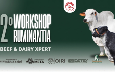 II Workshop Ruminantia congregará a expertos globales en ganadería sostenible en el Meta