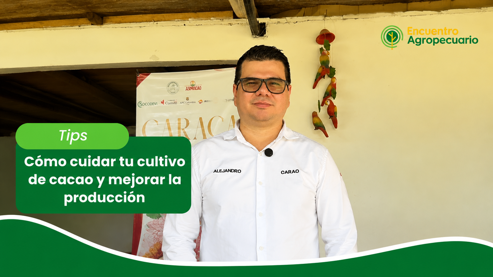 tips del cacao Tips del cacao